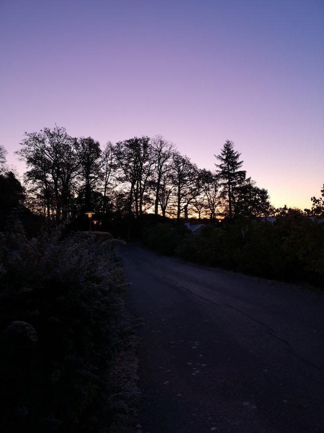 Purple morning sky. It's a new day