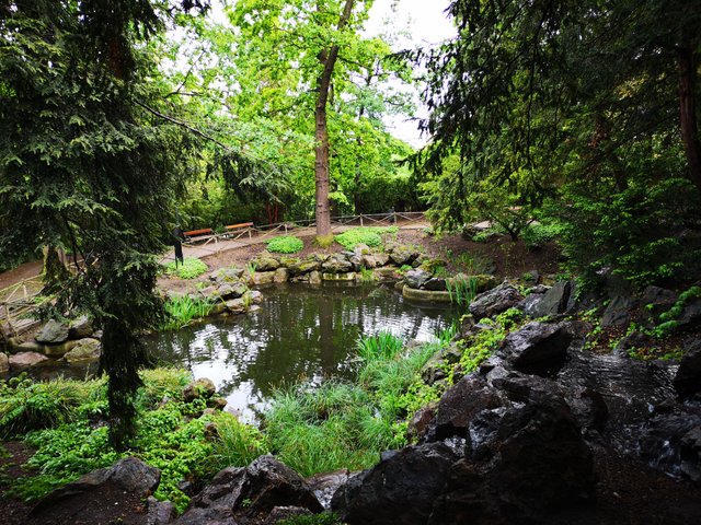 Havlicek gardens