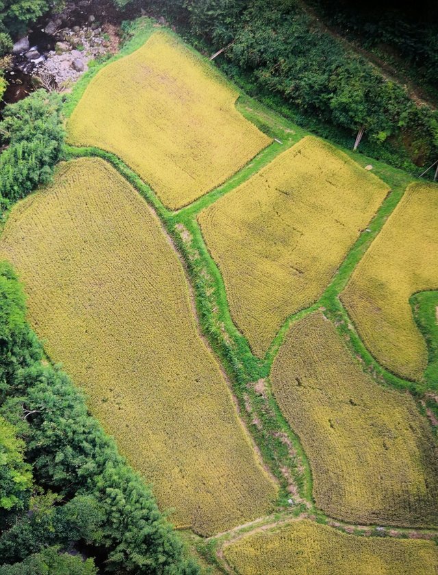 Field view from Sky