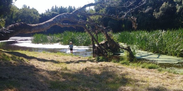 Junge spielt am Fluss