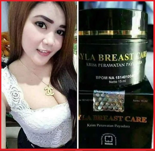 Agen Resmi Ayla Breast Care Di Kebumen 