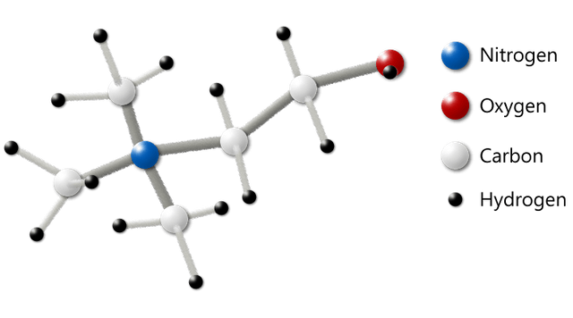 Choline is one of our favorites to be used with modafinil