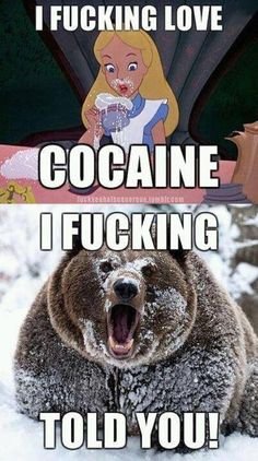 bear and cinderella snorting cocaine or modafinil