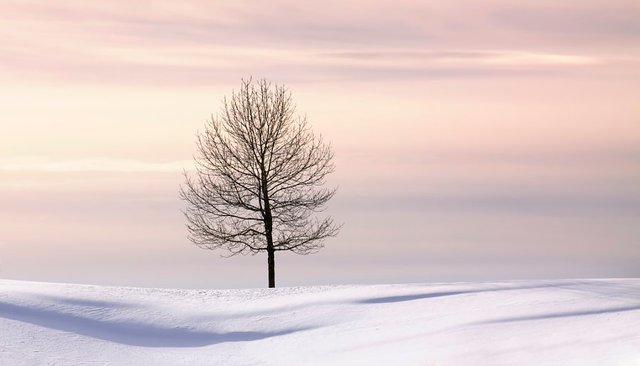 Silence by Ana Tramont on 500px.com