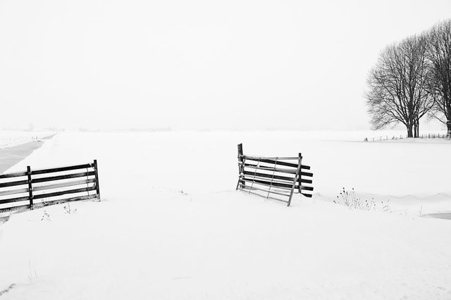Winter Unleashed by AllardSchager.com on 500px.com
