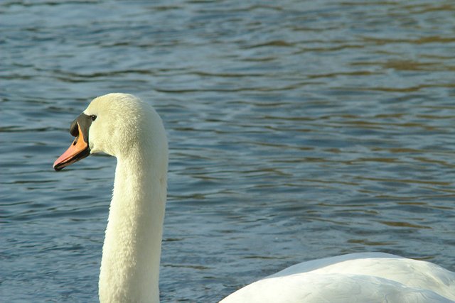 Untitled by Alper Kilci on 500px.com