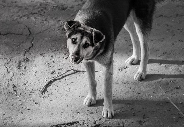 homeless..., автор — damnlynx на 500px.com