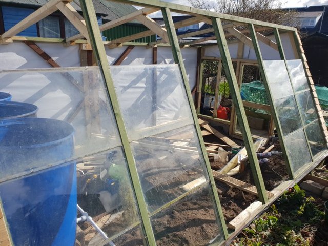 glass going in on the wooden greenhouse