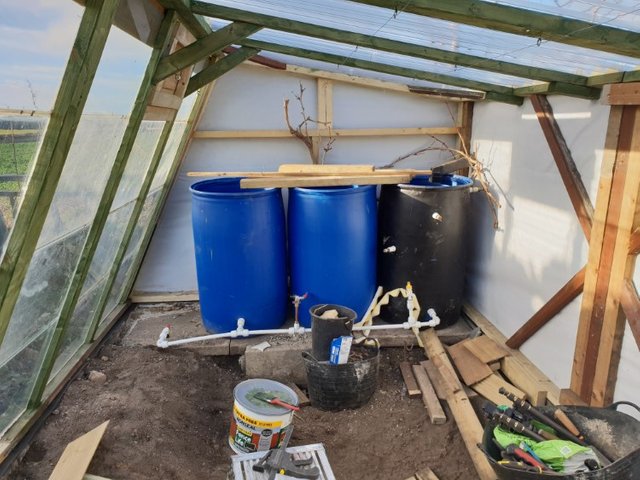 water butts in greenhouse