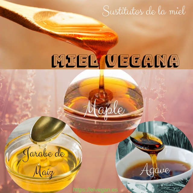 Miel Vegana Un Sustituto Para Miel De Abeja Steemit