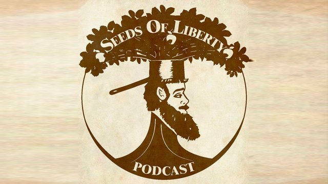 Emancipated Human on Seeds Of Liberty Podcast