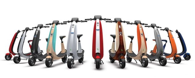 Adult Electric Scooter