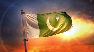 Image result for pakistan flag