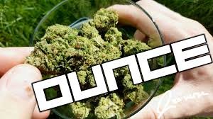 Image result for oz weed