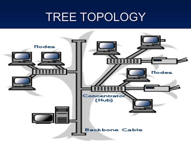 Image result for tree topology