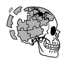 This image of a human skull symbolizes the complex parts of the human brain such as culture and language that have been shaped with thousands of years of history. 