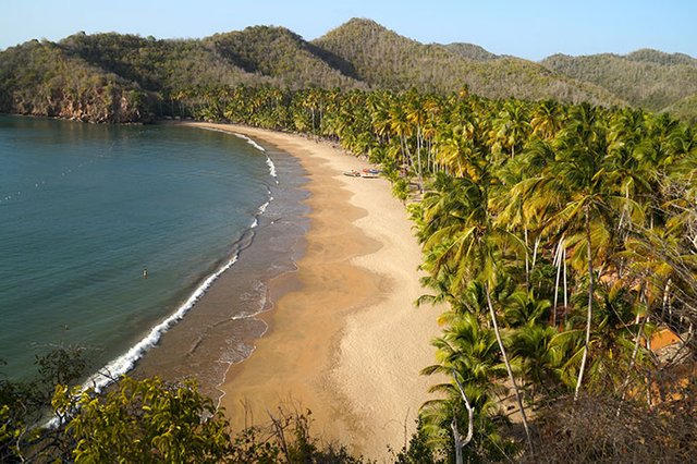 Las 10 Mejores Playas de Venezuela (+Fotos)