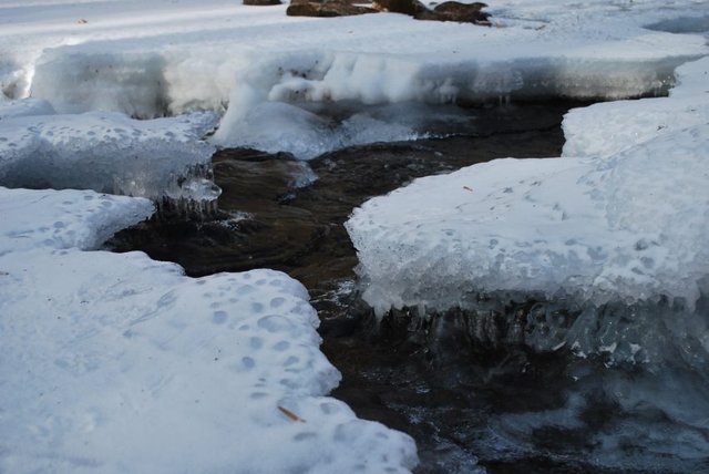 Creek Ice
