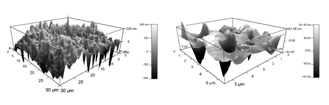 3D depiction of AFM height retrace images of lab-made Udel polysulfone ultrafiltration membrane