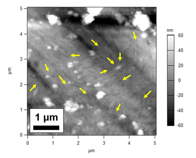Figure 7