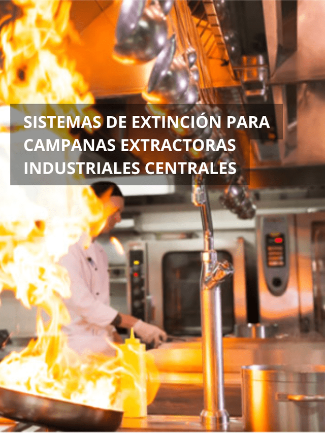 extincion-automatica-cocinas-protex-para-campana-mural-300-cm.jpg