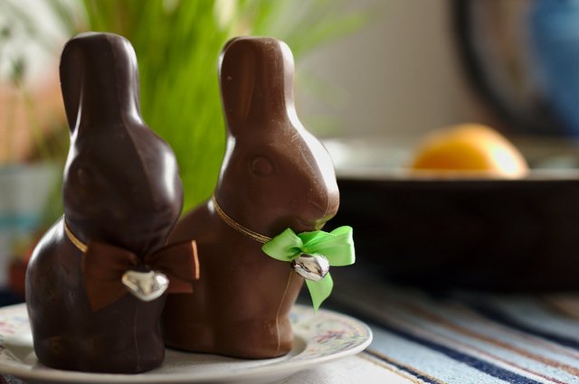 chocolate bunnies