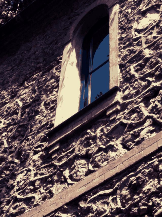 Window on an unusual house wall.