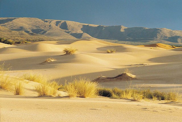 Witsand - South Africa