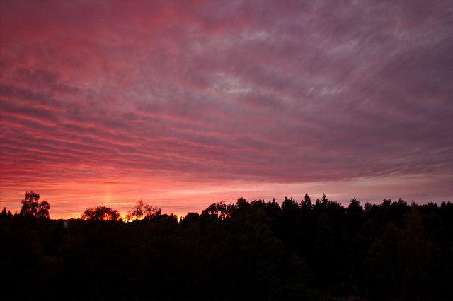 Sunset (69/365)