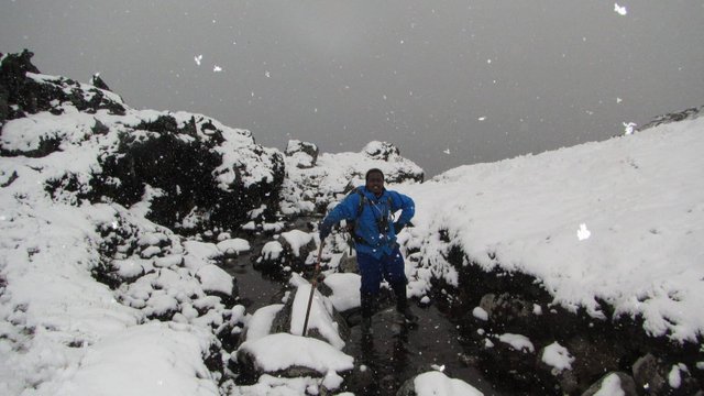 Thando in the snow 1