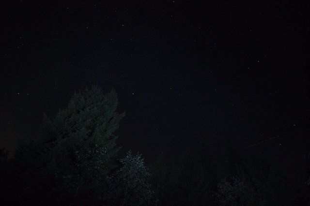 Night sky (68/365)