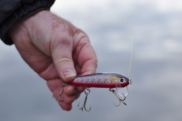 One photo every day: Fishing lure by Fiskari (117/365)