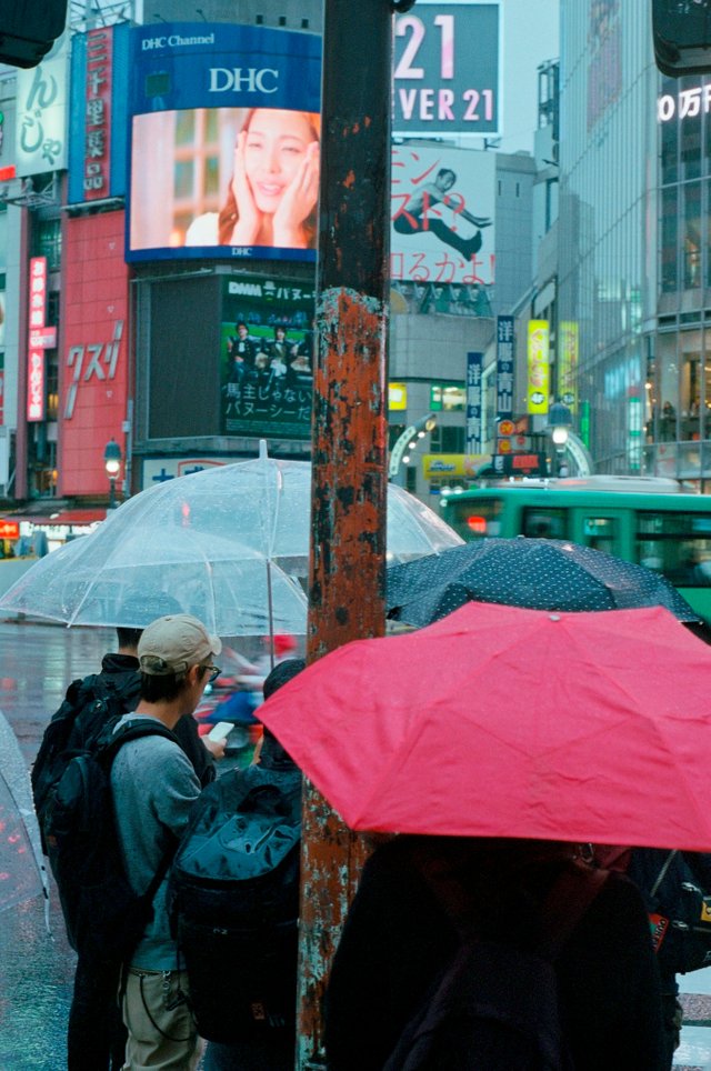 The Red Umbrella