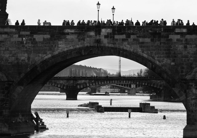 Bridges of Prague