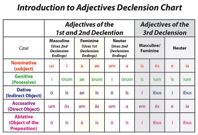 Latin Adjective Endings Chart