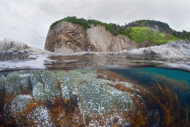 Kunashir underwater