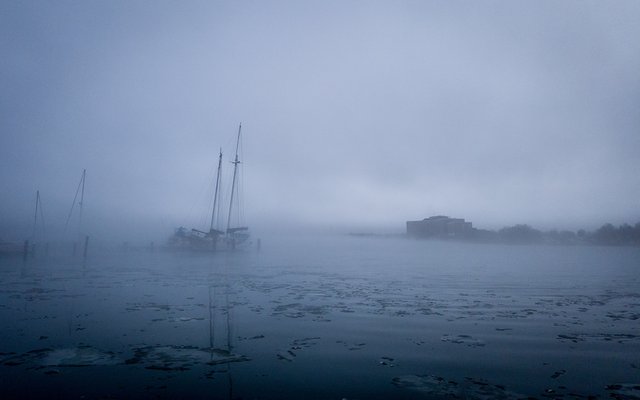 Fog over the Patapsco River