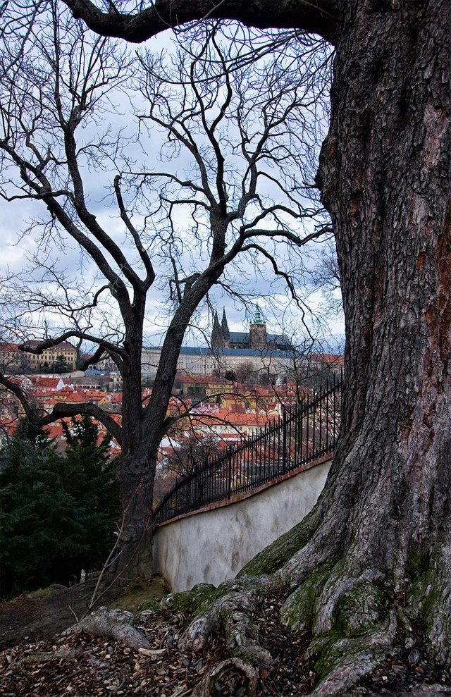 Prague Petrshin