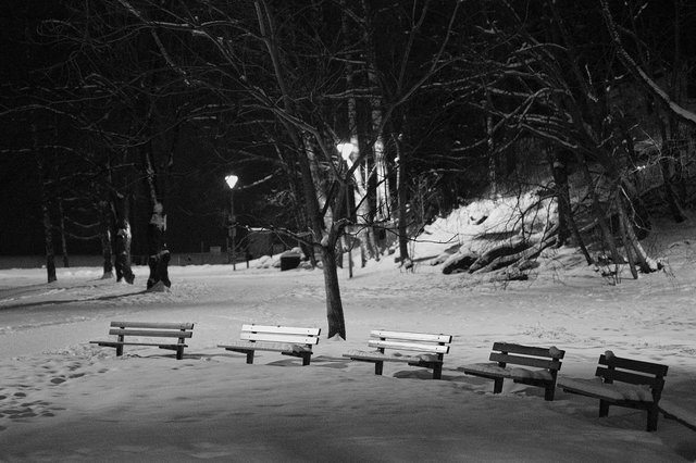 The Benches in Snow