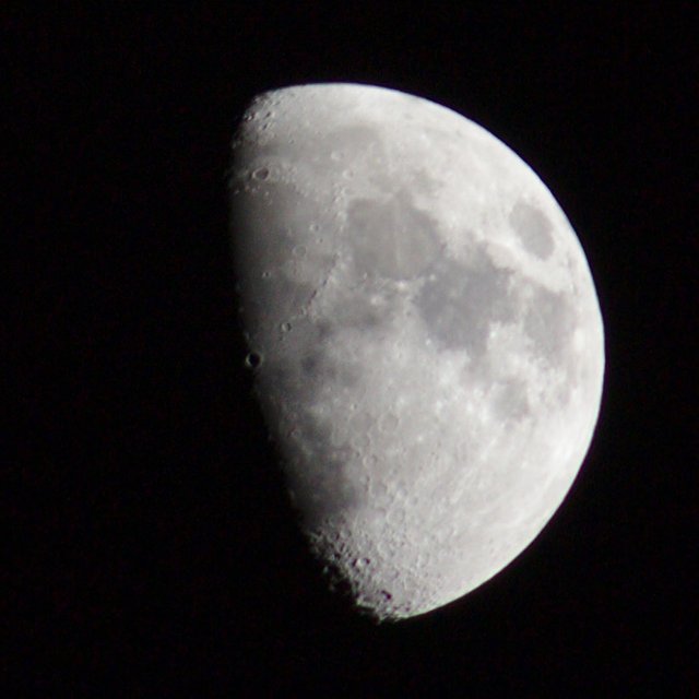Moon (244/365)
