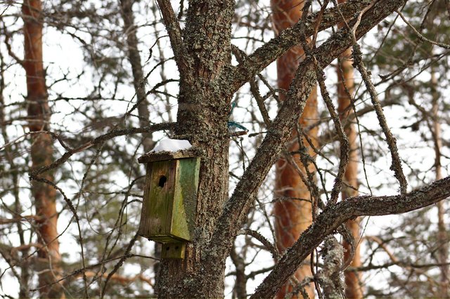 birdhouse