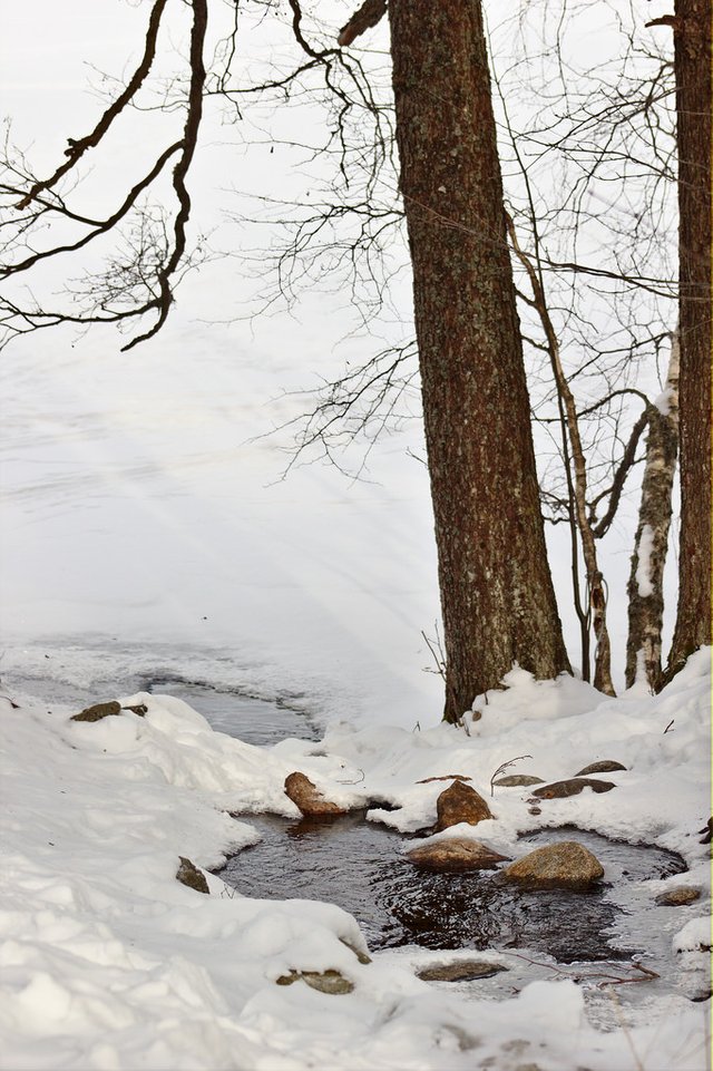 a small brook