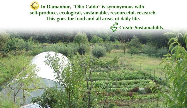 In Damanhur, Olio Caldo is synonymous with: