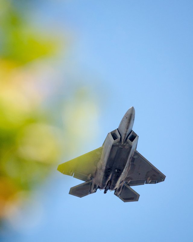 F-22 Raptor