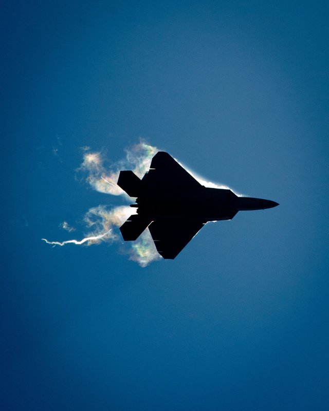 F-22 Raptor