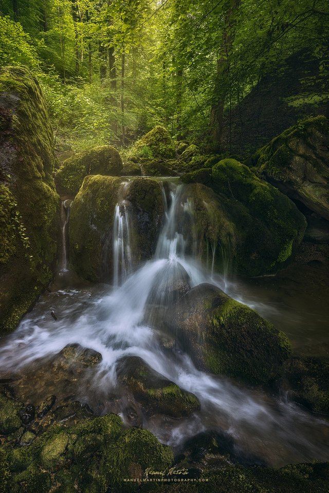 Chasing waterfalls across a fairytale-like forest