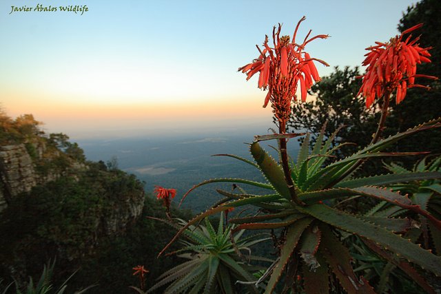 God's Window (Mpumalanga, South Africa)