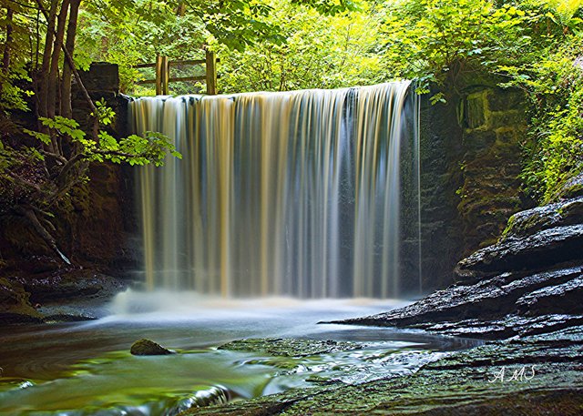 Waterfall Plas Power Wood Wrexham