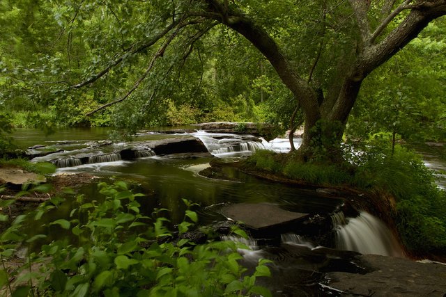 Waterfall in the Wind