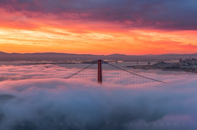 Morning Fog SF